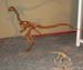 138 Museo Carmen Funes IMG_0098