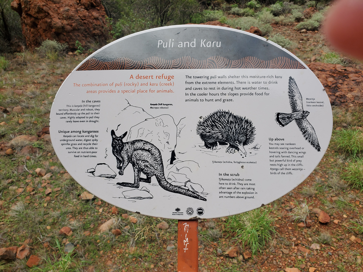 121 Watarrka NP