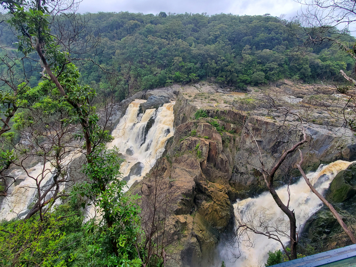 152 Skyrail Rainforest Cableway