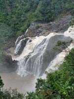 151 Skyrail Rainforest Cableway