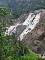 153 Skyrail Rainforest Cableway