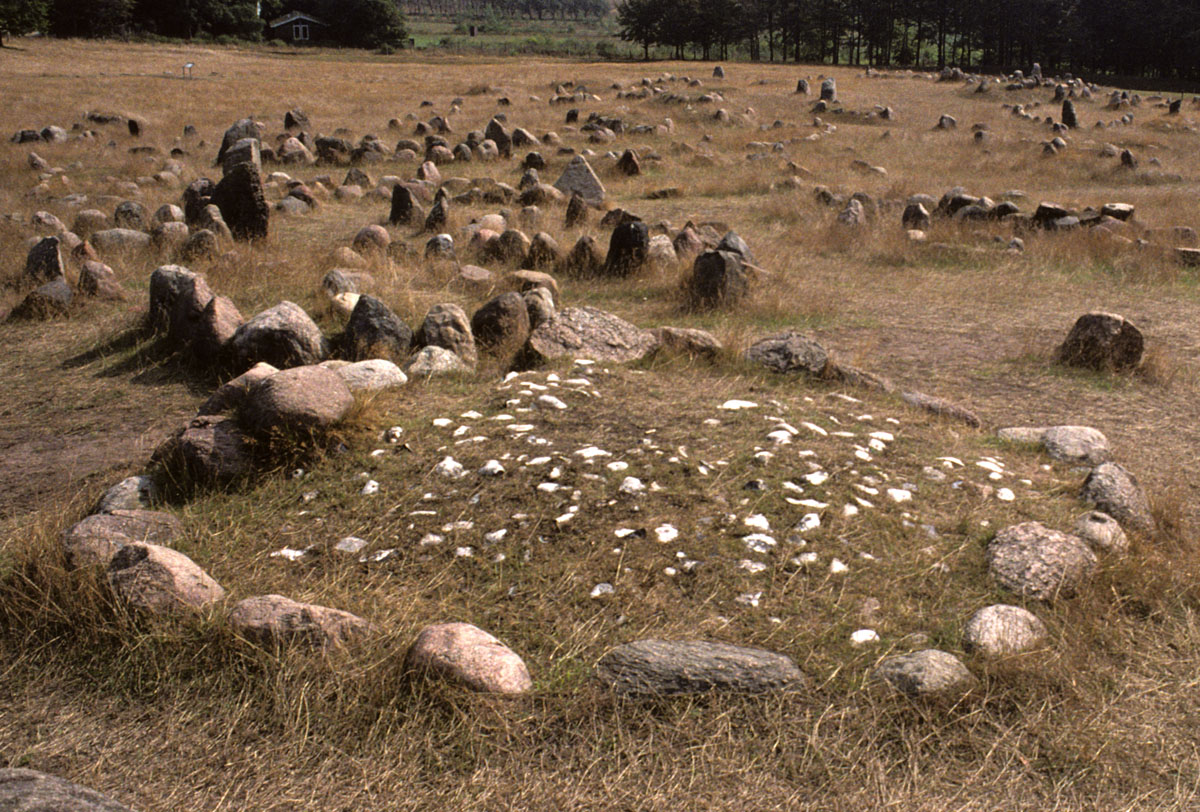 Image37