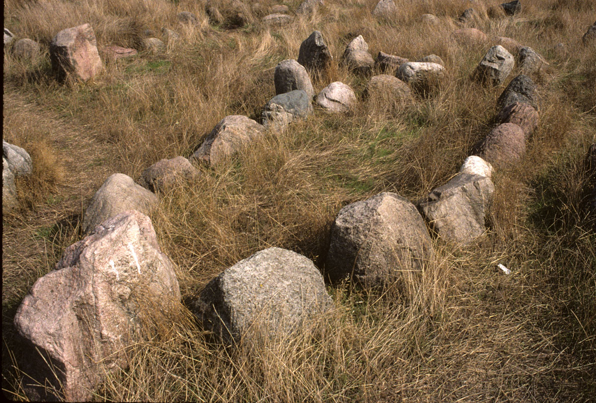 Image38