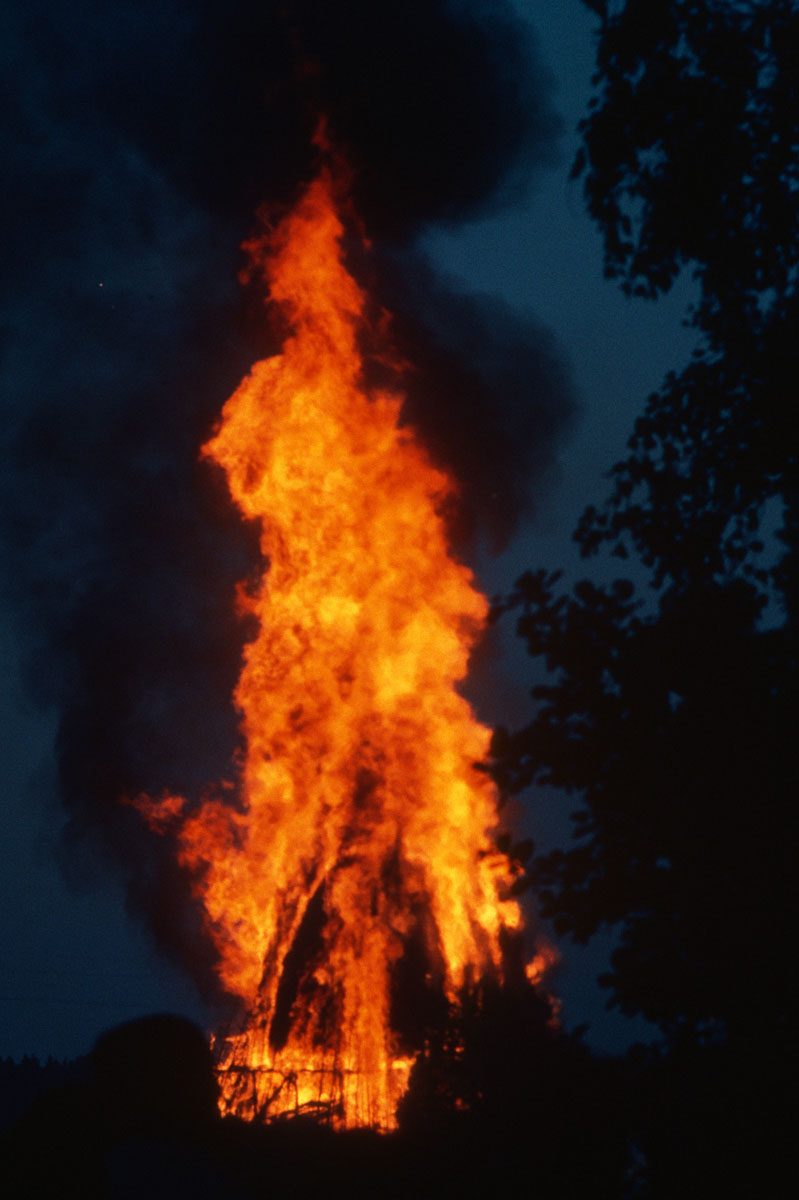 Seurasaari 8