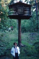 Seurasaari 2