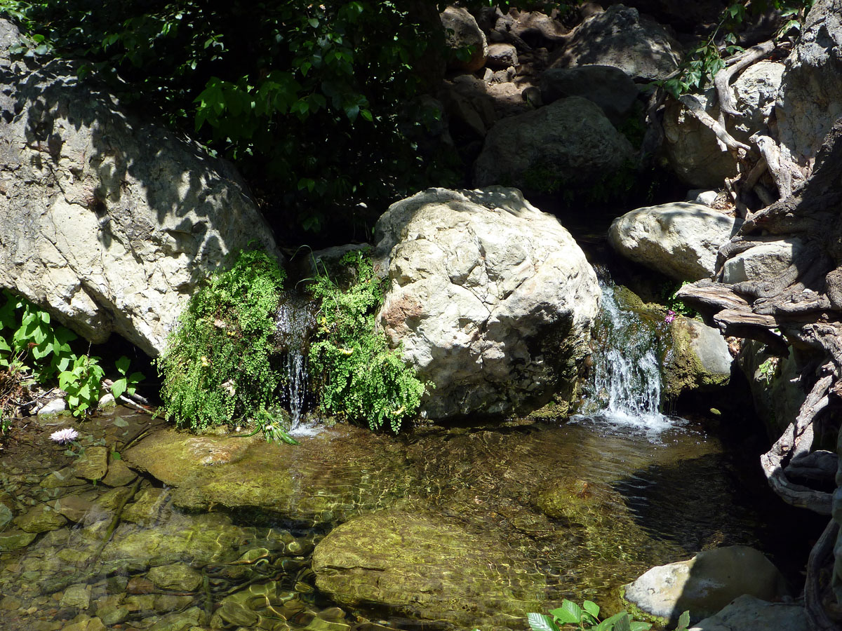 11 P1000645a