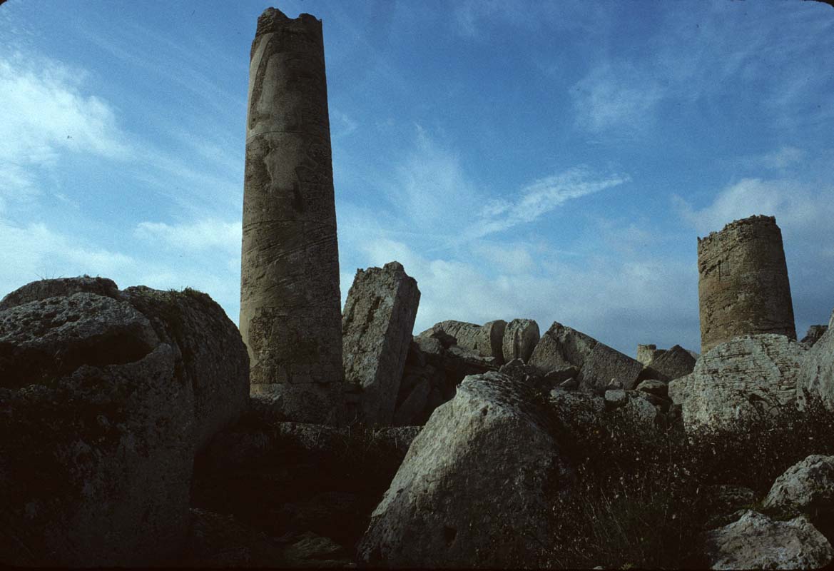 Image302