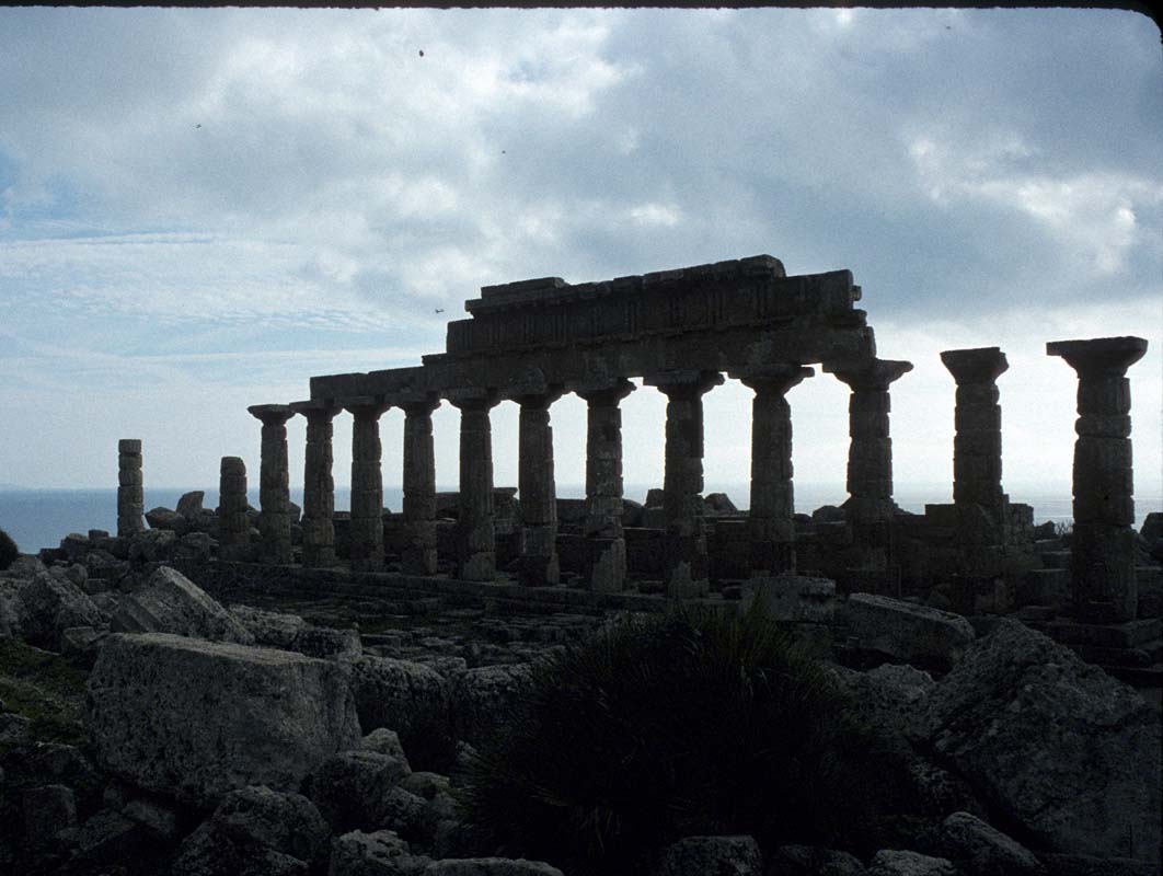 Image307