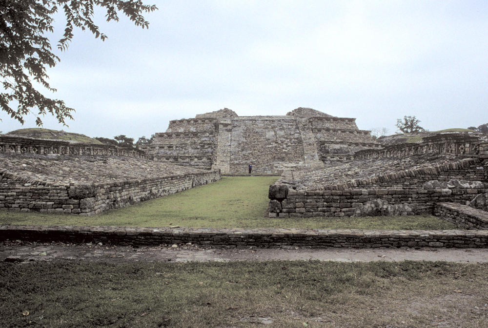 Image1