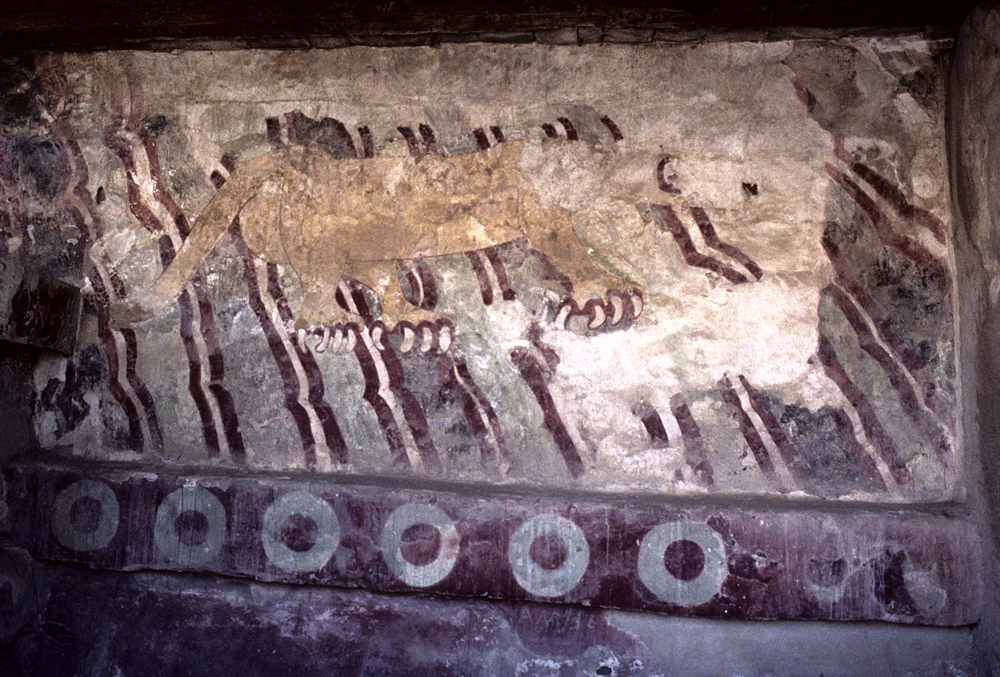 Image10