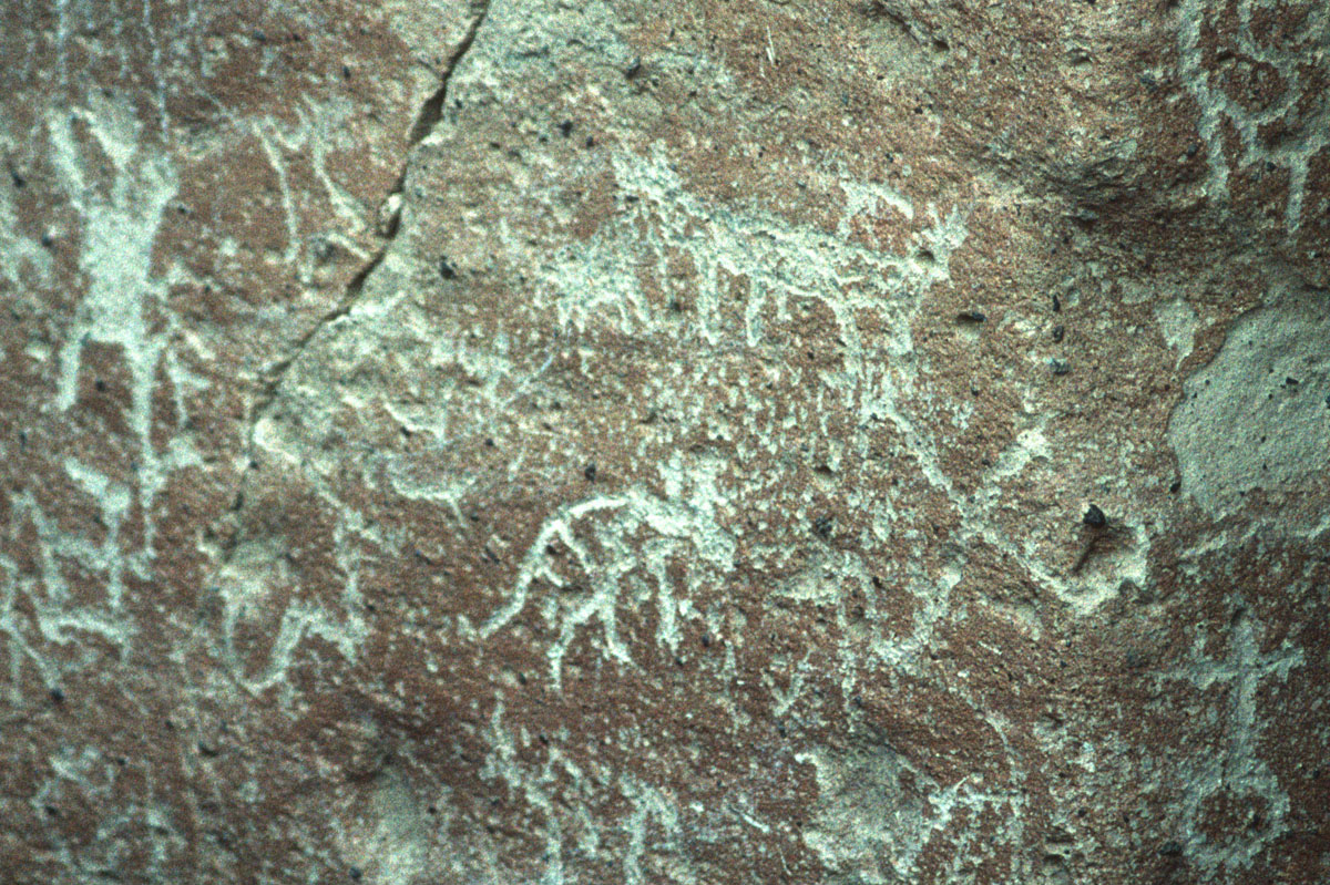 2023-10-18-0006