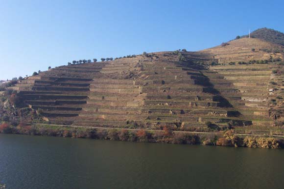 132 Douro DCP_1954