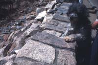 Rocky Mt Nat Pk