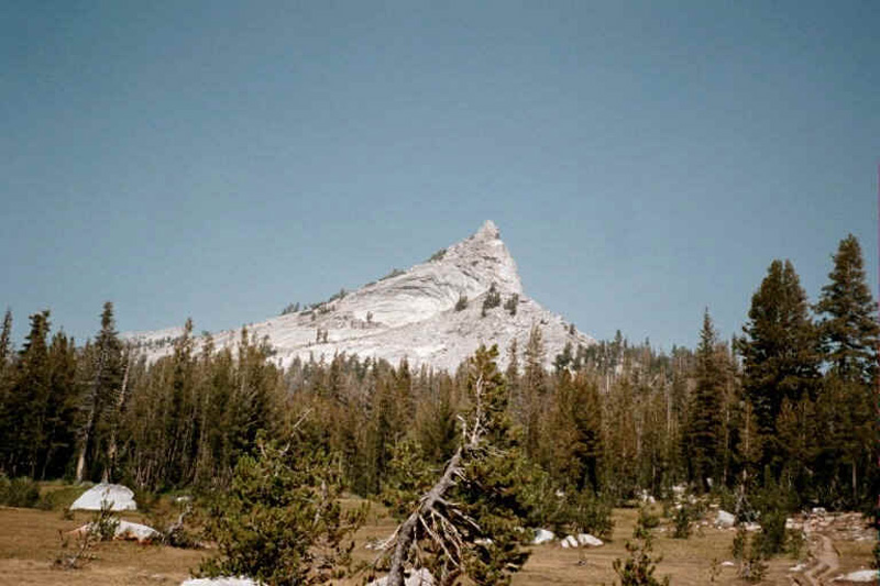 71013_25