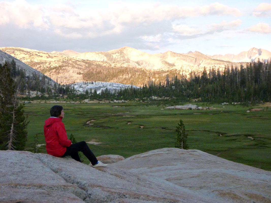 05 Sunrise Meadow Evening P1000037
