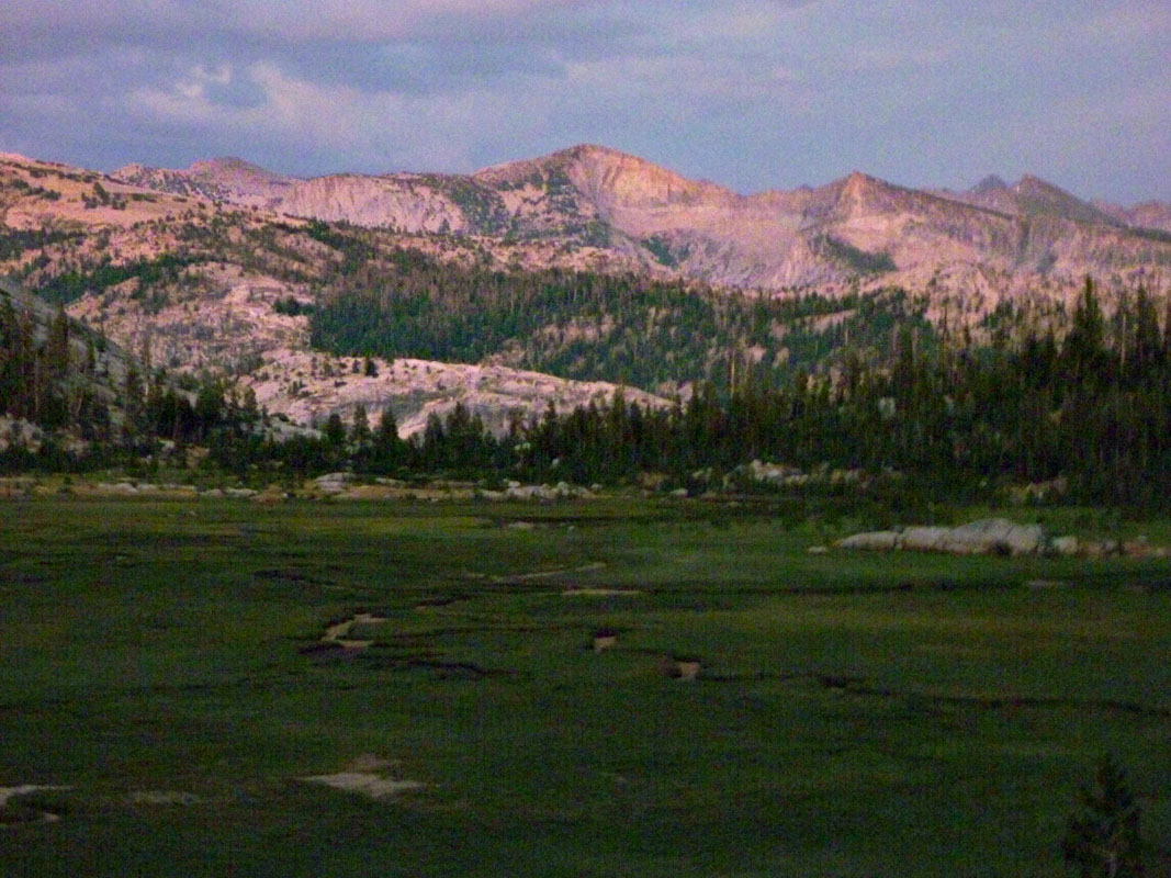 06 Sunrise Meadow Evening P1000041d
